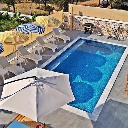 Lion Kaş *
